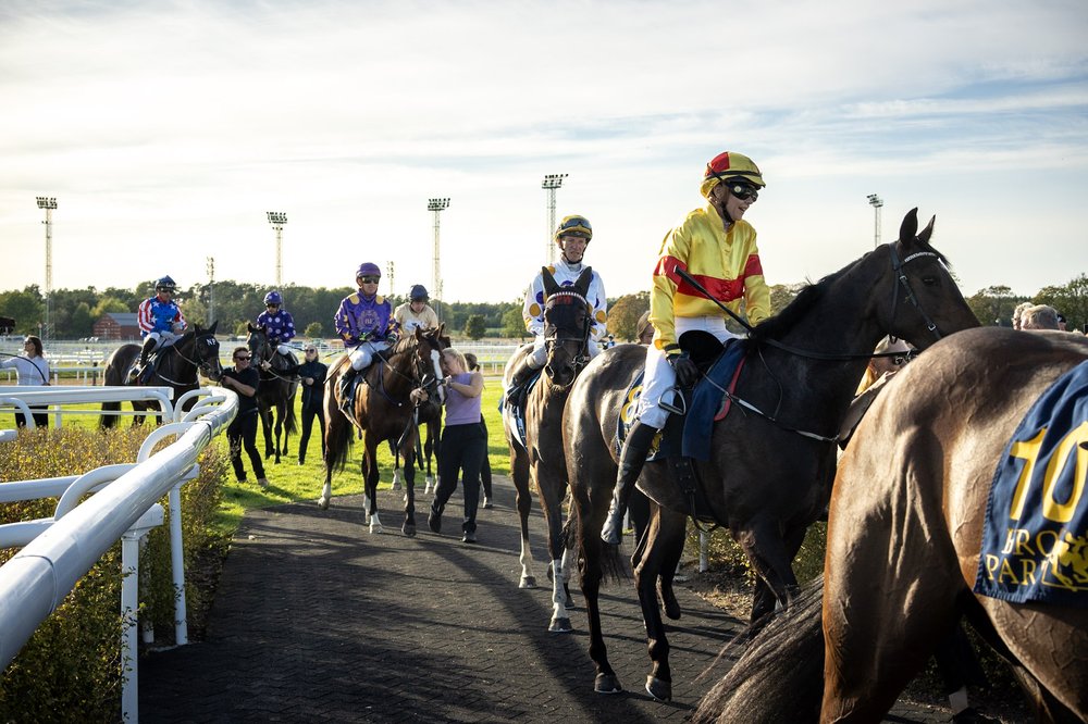 Efter loppet A1_08079