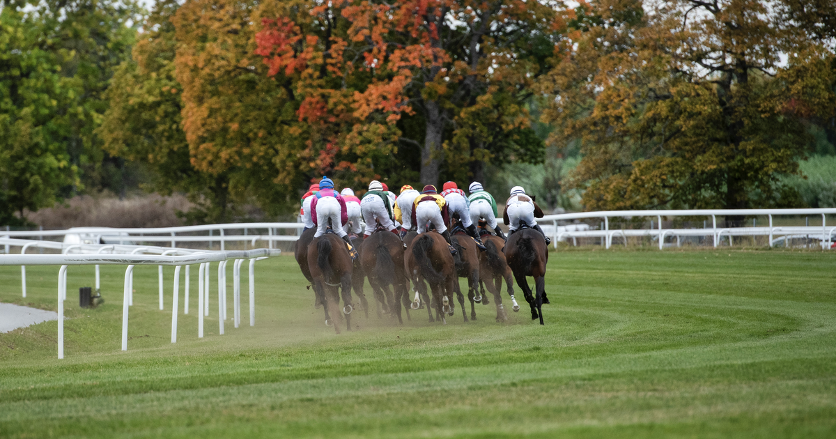 Overseas runners in Sweden - Horse Racing Sweden